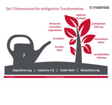 7 Dimensionen - Erfolgreiche Transformation Consensa