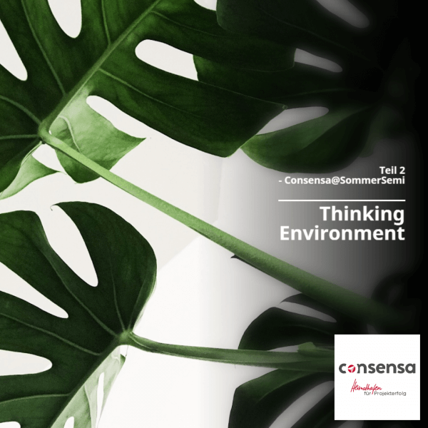 Thinking Environment Seminar - Titel Consensa
